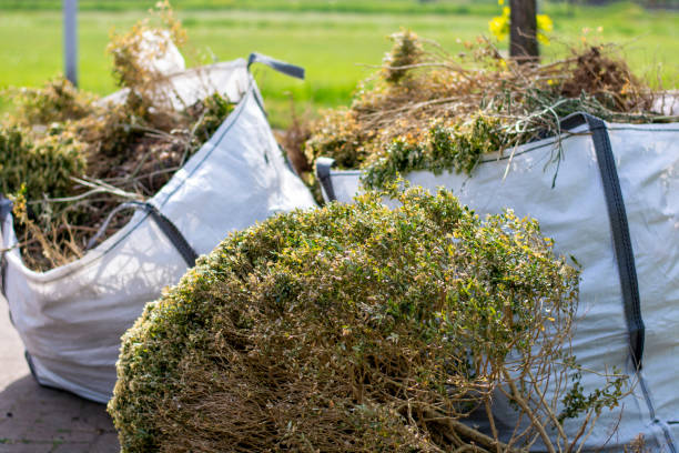 Best Professional Junk Removal  in Cascade, IA